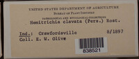 Image Associated With the Occurence